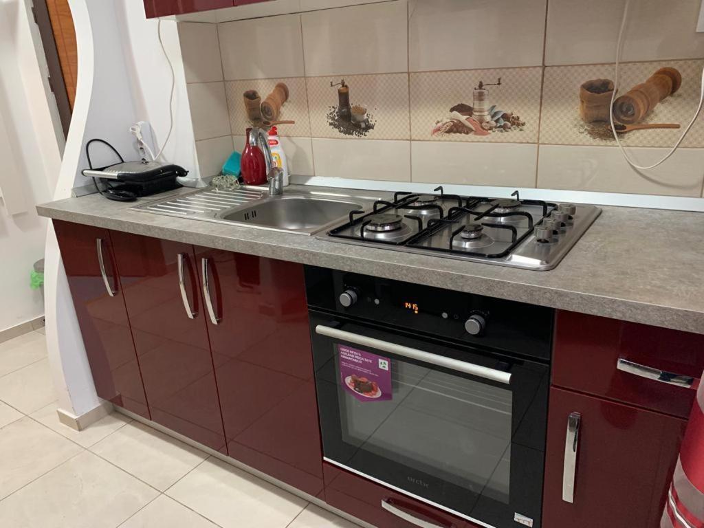 Garsoniera Natalia Apartment Sibiu Luaran gambar